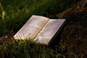 Learning Innovation: Future Focus