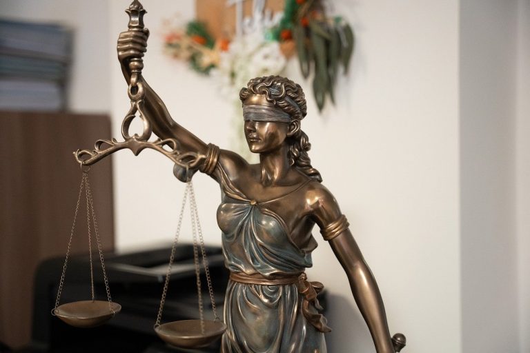Synthetic Entity Protection: AI Rights Standards