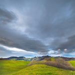 Brain Privacy Rights: Neural Data Protection