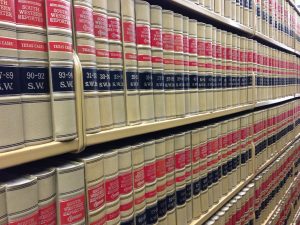 Digital Existence Law: Virtual Living Rights