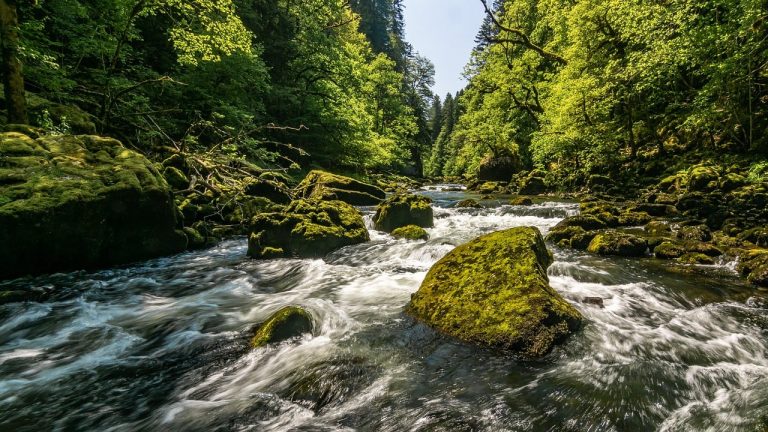 Space Resource Rights: Cosmic Mining Standards