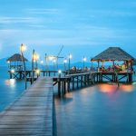 Ancient Forest Medicines: Herbal Heritage