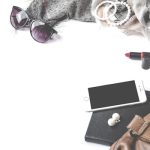 The New Vintage: Digital Archives in Fashion History