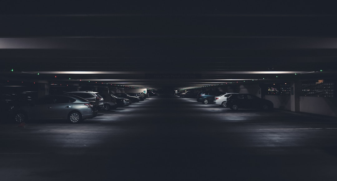 The Psychology of Trust: Human-Robot Interaction on Roads