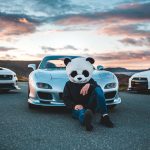 Vertical Mobility: Cars That Climb Buildings