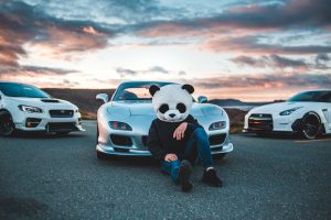 Vertical Mobility: Cars That Climb Buildings