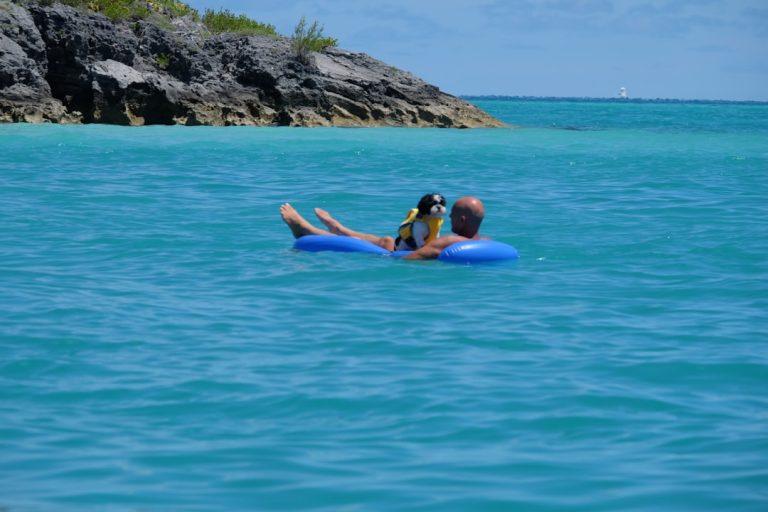 The New Homesteader: Urban Farmers in Luxury Homes